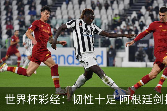 世界杯彩经：韧性十足 阿根廷剑指四强